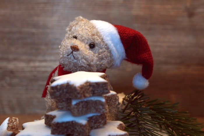 christmas-4669700_1920